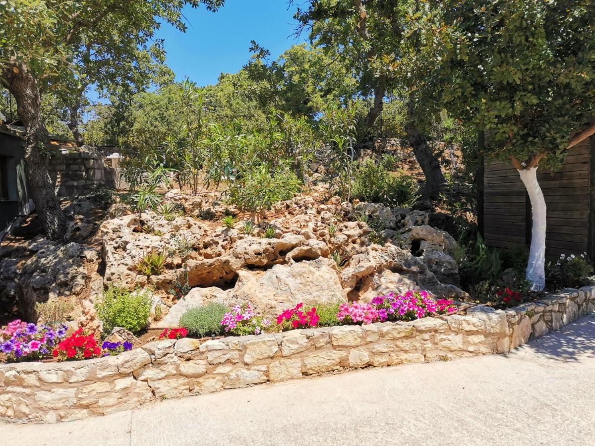 Villa Ermis - The Cretan Castello Kástellos 外观 照片