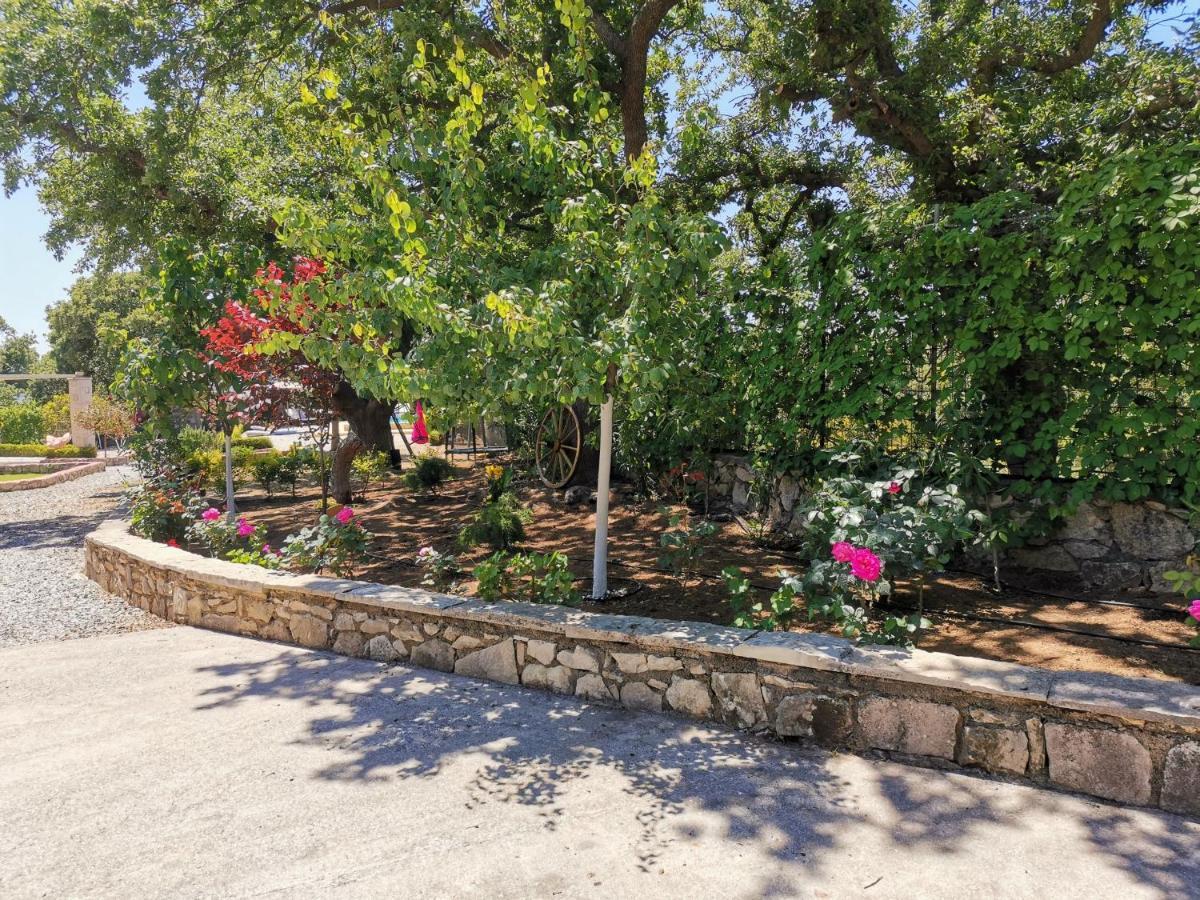 Villa Ermis - The Cretan Castello Kástellos 外观 照片