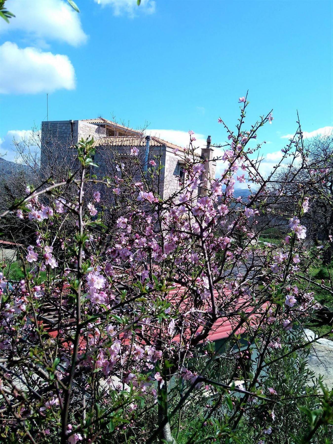Villa Ermis - The Cretan Castello Kástellos 外观 照片